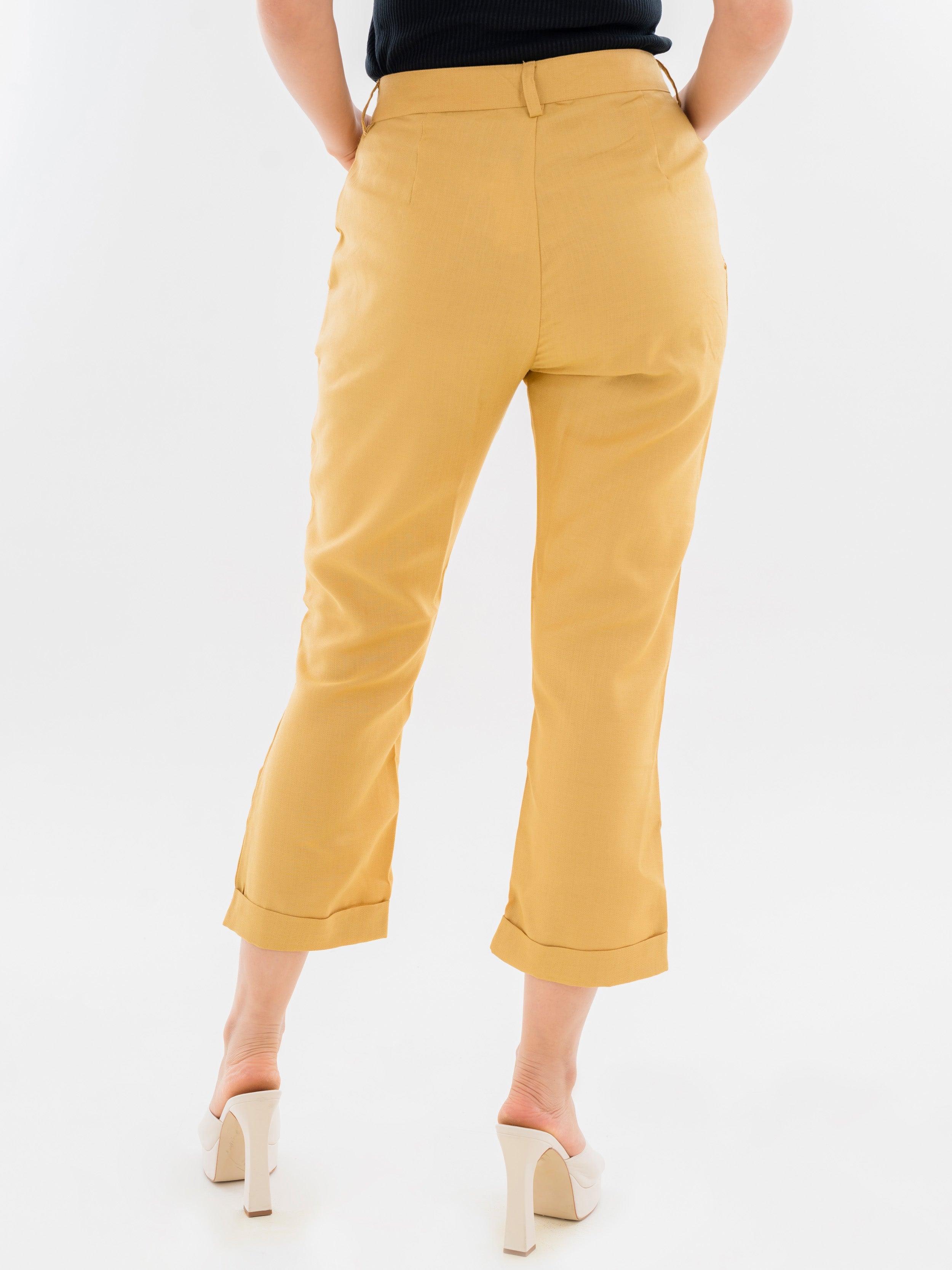 Ankle length Pants Beige Back